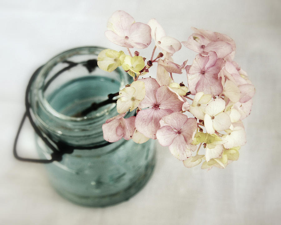 Flower Photograph - Hydrangea in Vintage Robins Egg Jar by Brooke T Ryan