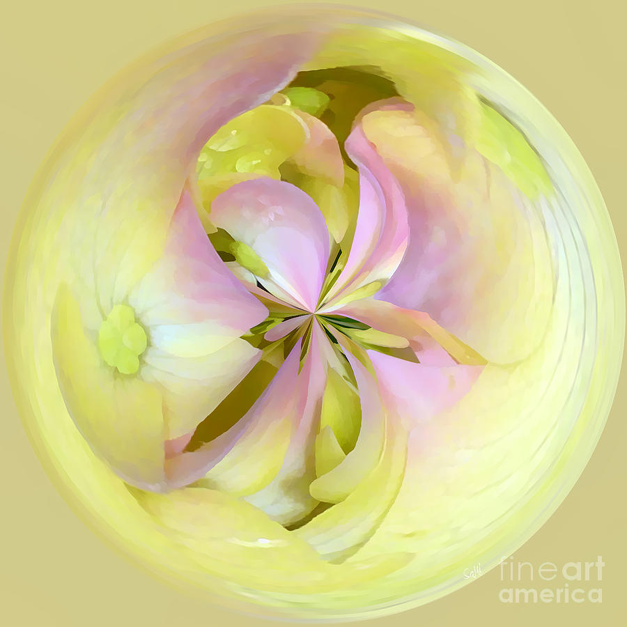 Hydrangea kaleidoscope Photograph by Sami Martin
