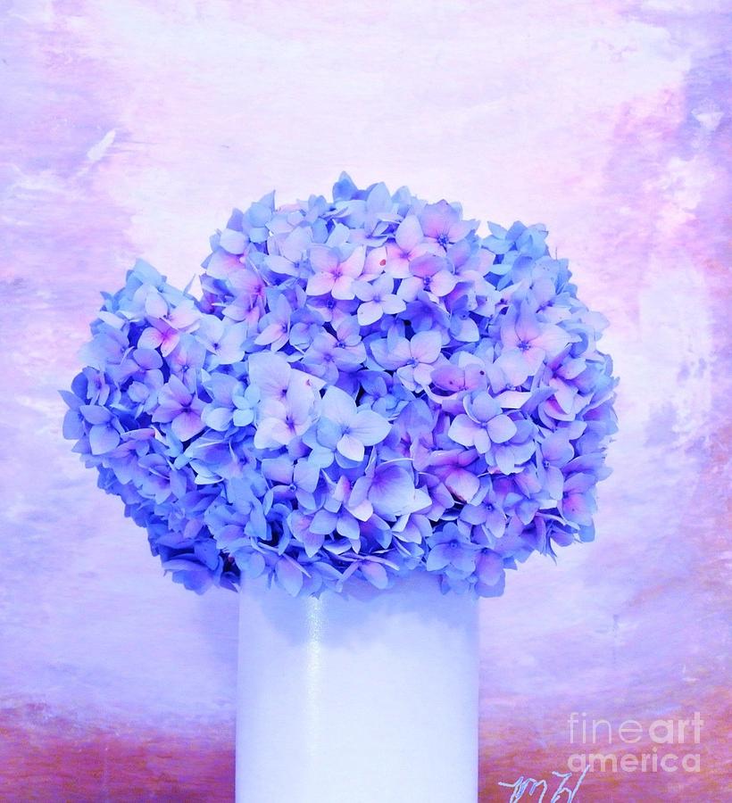 Hydrangea Lavender Photograph by Marsha Heiken