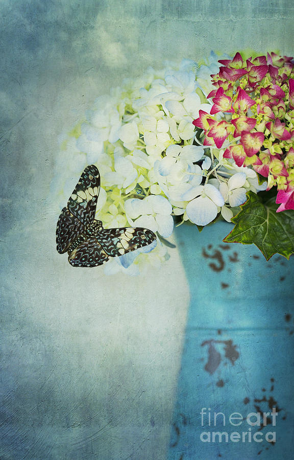 Hydrangea with Blue Butterfly Digital Art by Susan Gary