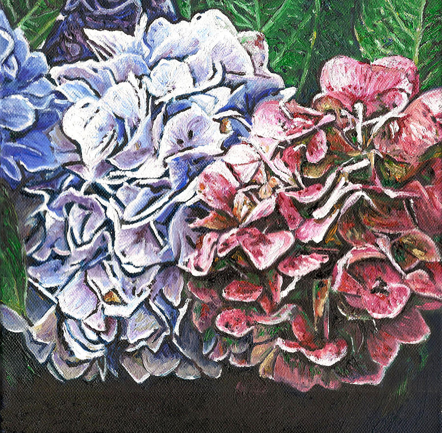 Blooms Painting - Hydrangeas by Helen White Blooms Painting - Hydrangeas by Helen White