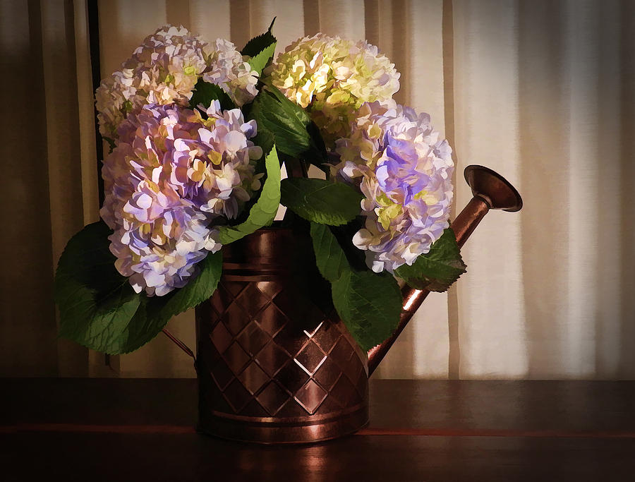 Hydrangeas In Water Can Photograph