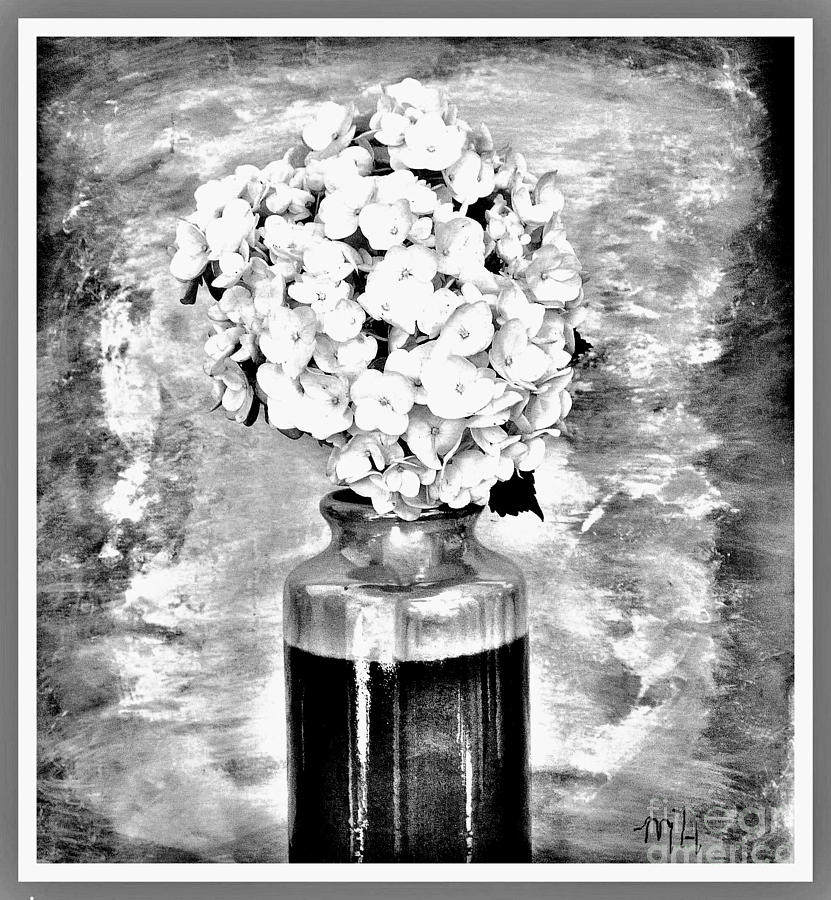 Hydrangia Black White Photograph by Marsha Heiken