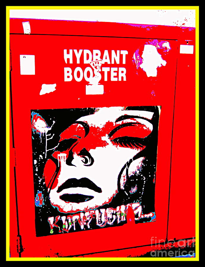 Hydrant Booster and Poster Photograph by Roberto Gagliardi