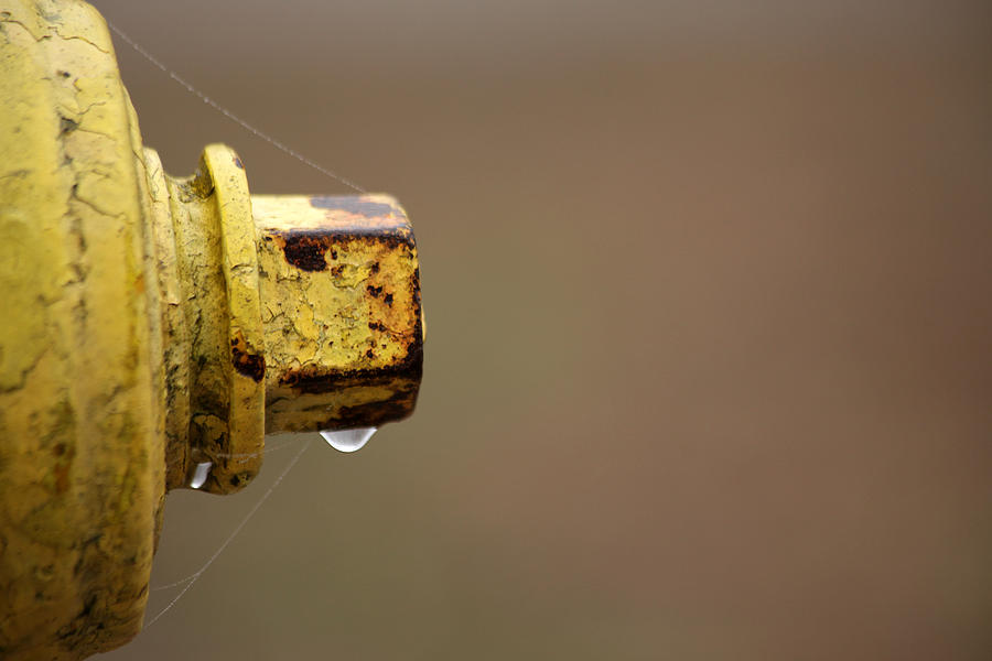 Fire Hydrant Photograph - Hydrant Drip by Karol Livote