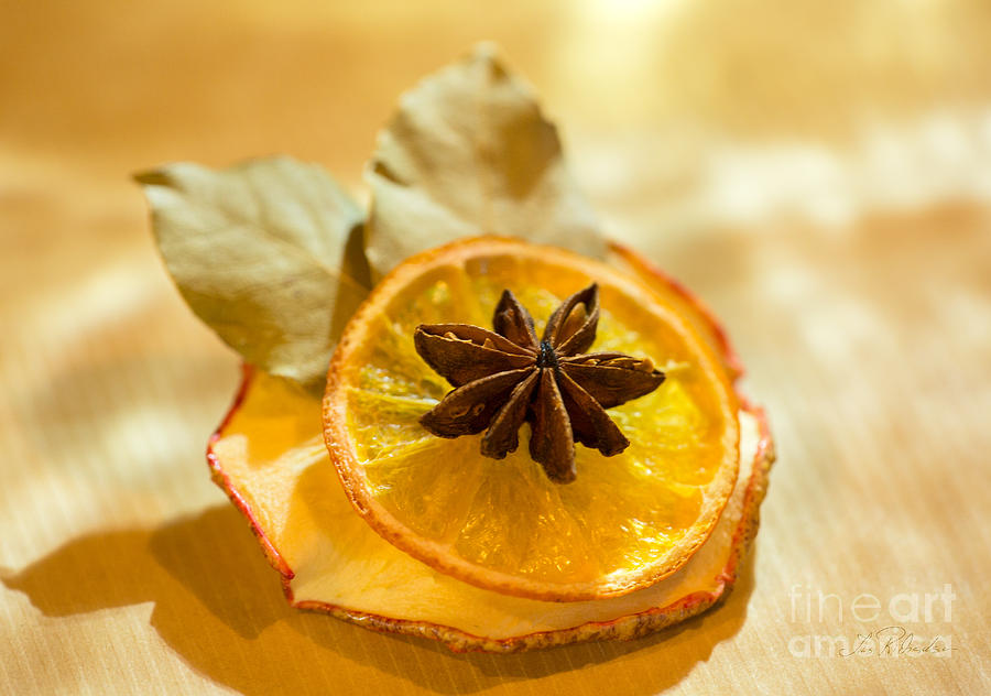 Natural Photograph - Dried Fruit Ornaments  by Iris Richardson
