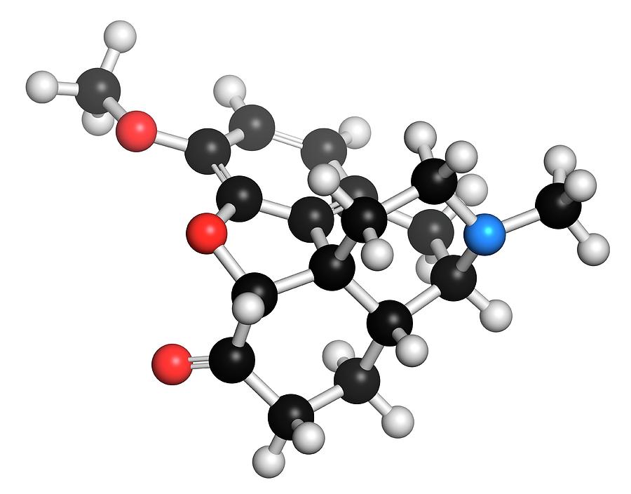 Hydrocodone Narcotic Analgesic Drug Photograph by Molekuul | Fine Art ...