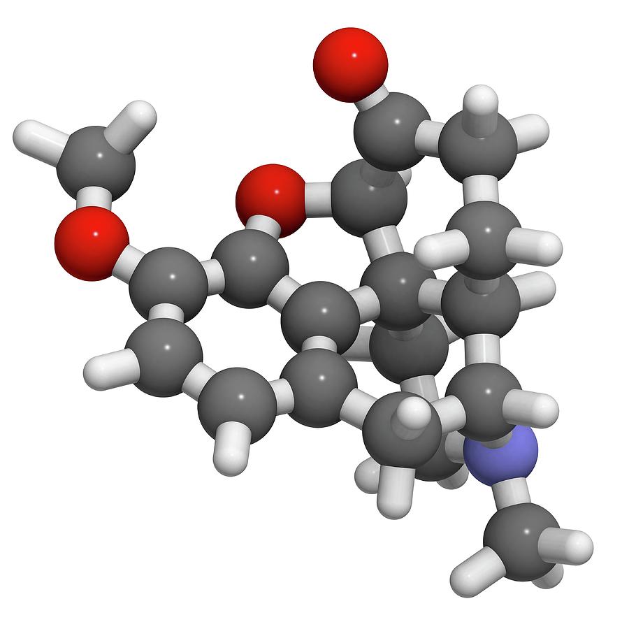 Hydrocodone Opioid Analgesic Drug Photograph By Molekuul Science Photo 