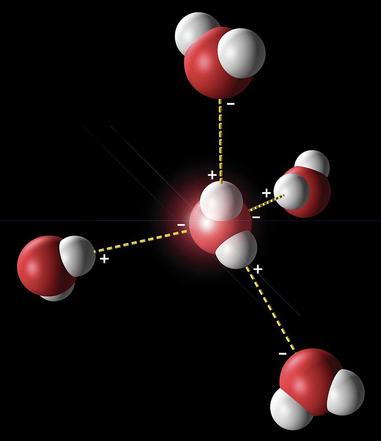 Hydrogen bonding video