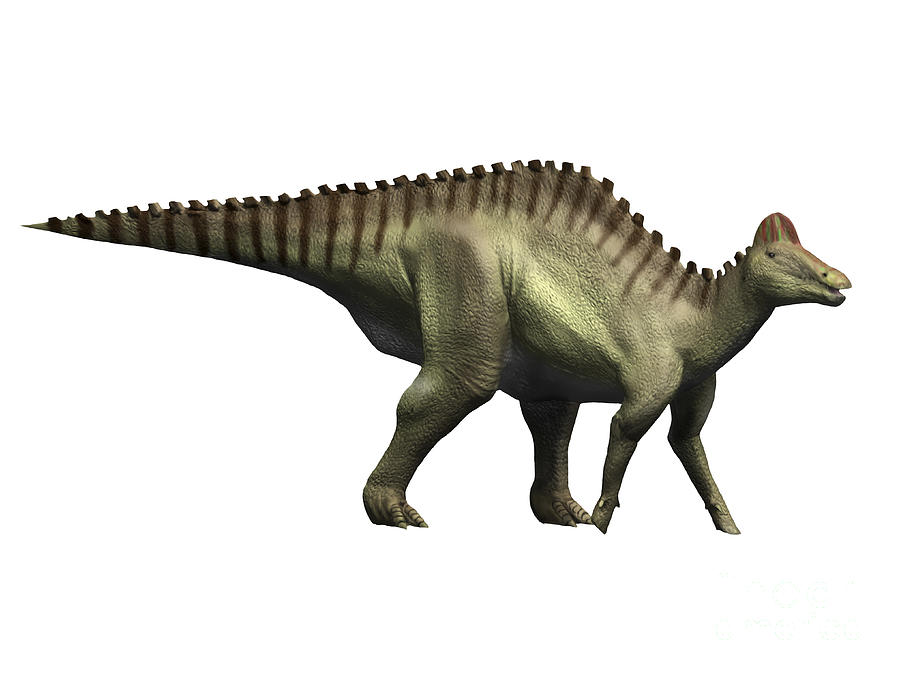 Horizontal Digital Art - Hypacrosaurus Dinosaur by Nobumichi Tamura