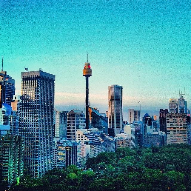 Sydney Skyline Photograph by Brandon Jacobs