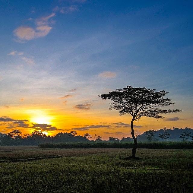 I Always Love The Smell Of A Sunrise Photograph by Bimo Pradityo