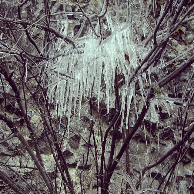 I Always Wondered Where Icicles Come Photograph by Mike Warner
