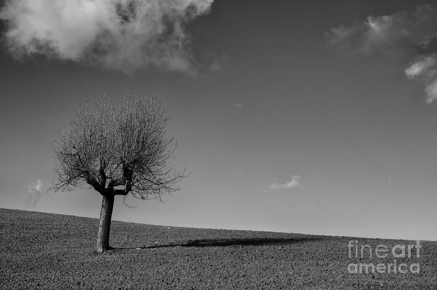 Landscape Photograph - I Am by Romolo Fevola