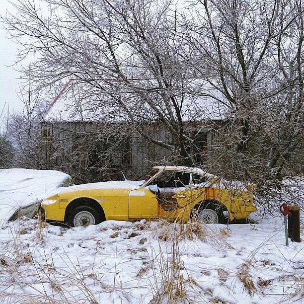 I Came Across This Abandoned Car Photograph by Zach Rose