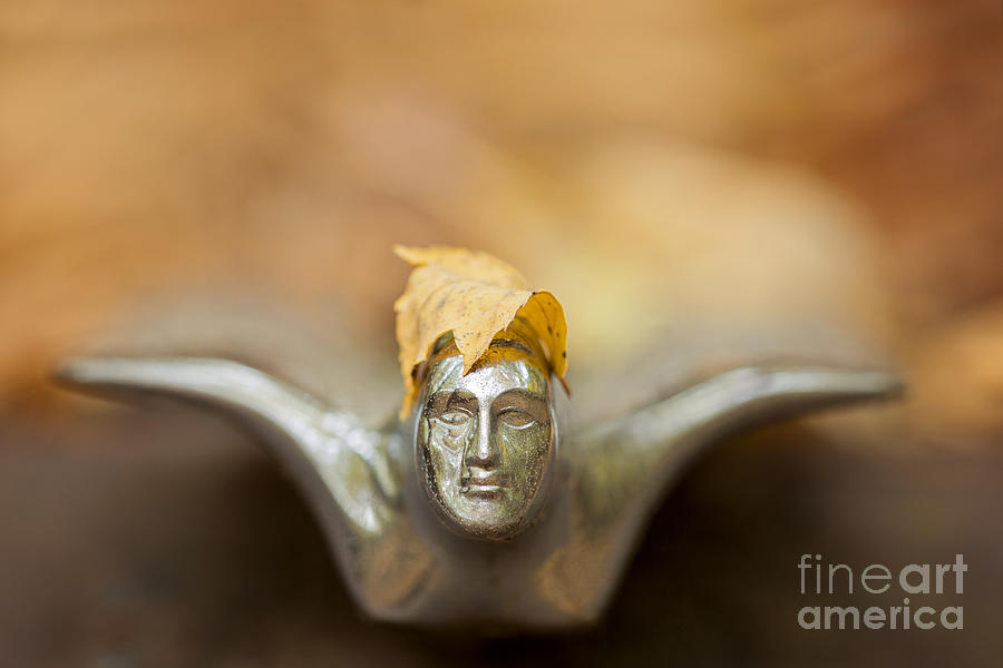 Vintage Photograph - Fall Hood Ornament by Linda D Lester