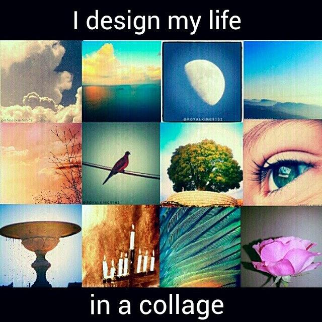 I #designmylife  In A Collage Photograph by Roy Haddad
