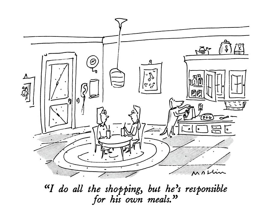 I Do All The Shopping Drawing by Michael Maslin