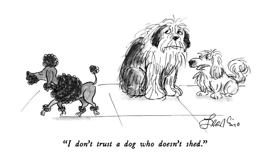 I Dont Trust A Dog Who Doesnt Shed Drawing by Edward Frascino