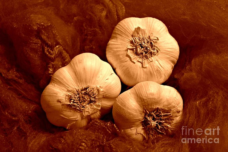 I Dream of Garlic Photograph by Clare Bevan