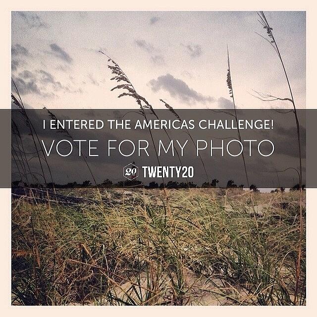 I Entered The Americas Challenge. Help Photograph by Janis Young