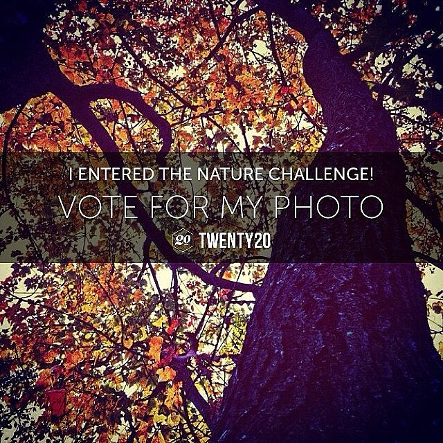 I Entered The Nature Challenge. Help Me Photograph by Artondra Hall