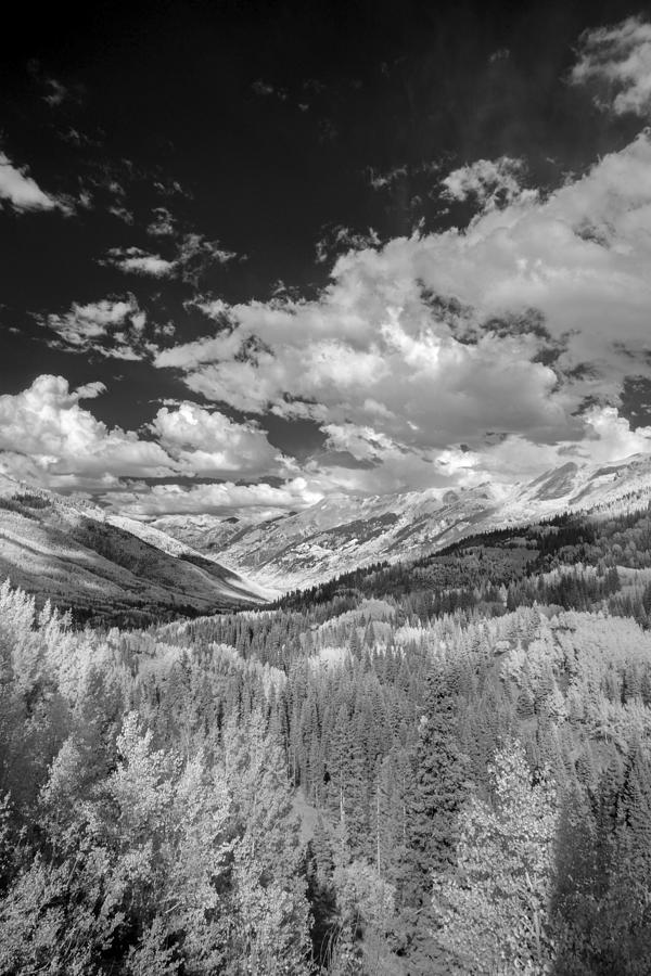 Black And White Photograph - I Feel Alive by Jon Glaser