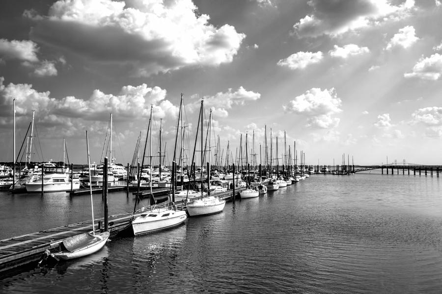 I Feel Like Sailing Photograph by Kathy Clark
