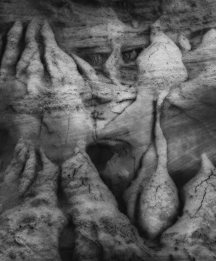 Rockwell Pareidolia  monochrome Photograph by Gary Warnimont
