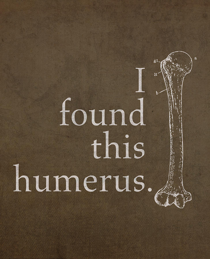 I Found This Humerus Humor Art Poster Mixed Media by Design Turnpike