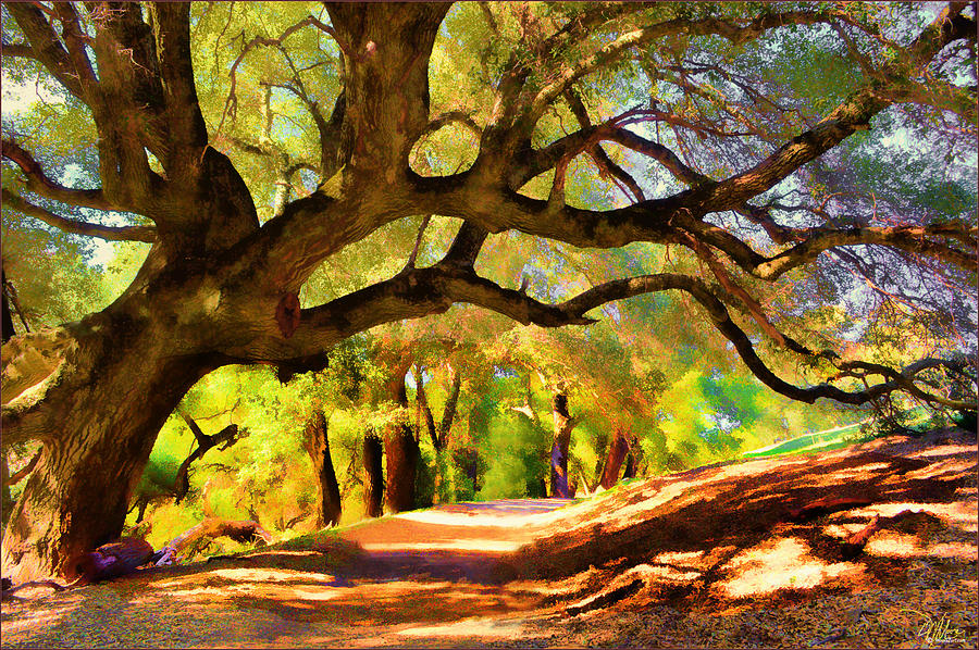 I Gave My Word to This Tree Painting by Douglas MooreZart