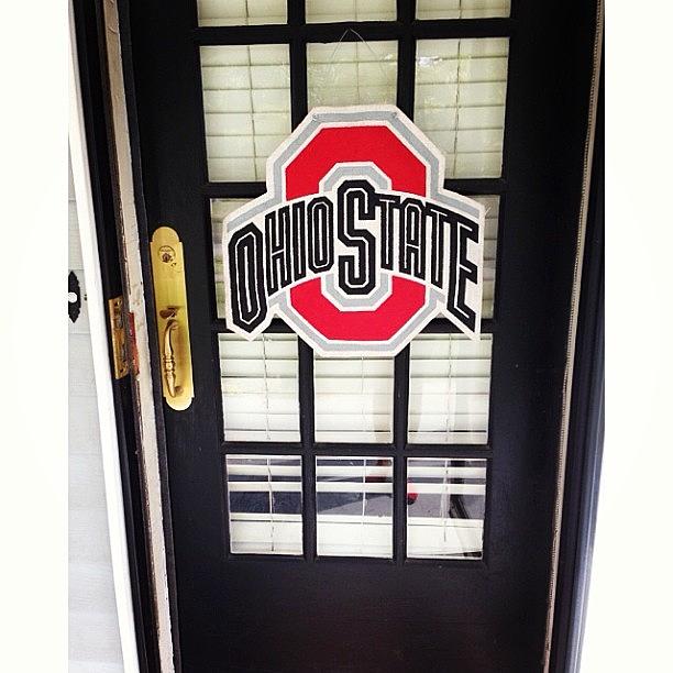 Buckeyes Photograph - I Got Way Too Excited For This by Julie Ann
