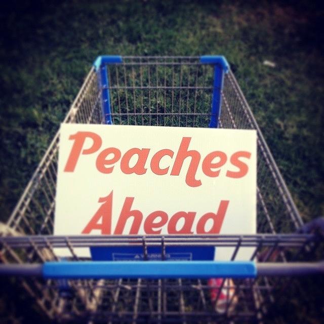 Peach Photograph - I Hate Peaches.  by Jenna Pope