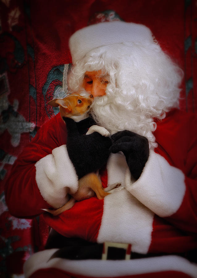 I Have Been A Good Pooch Santa Photograph by Susan Candelario