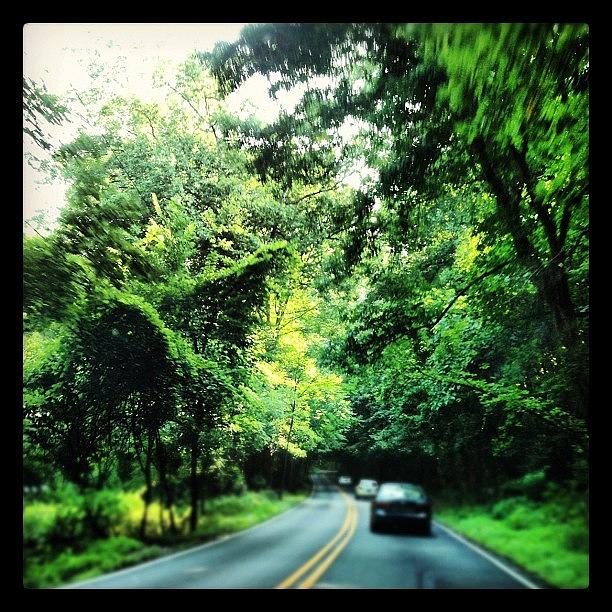 I Have The Prettiest Drive To Work! 🍃 Photograph by Samantha Rash