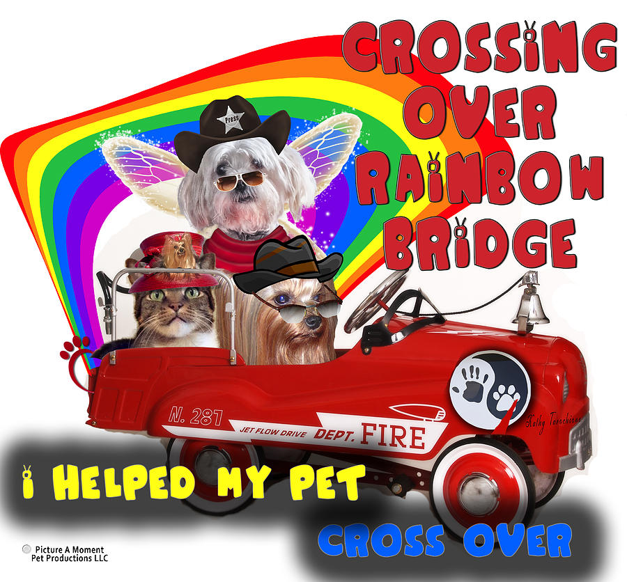 Dog Digital Art - I Helped My Pet Cross Rainbow Bridge by Kathy Tarochione