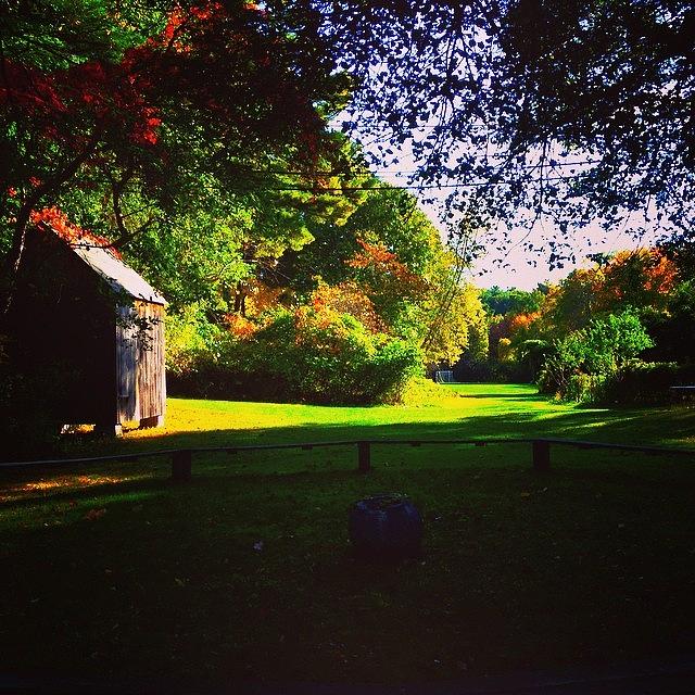 Fall Photograph - I Just Love #fall #colors #oldbarns And by Ziggy Hartfelder