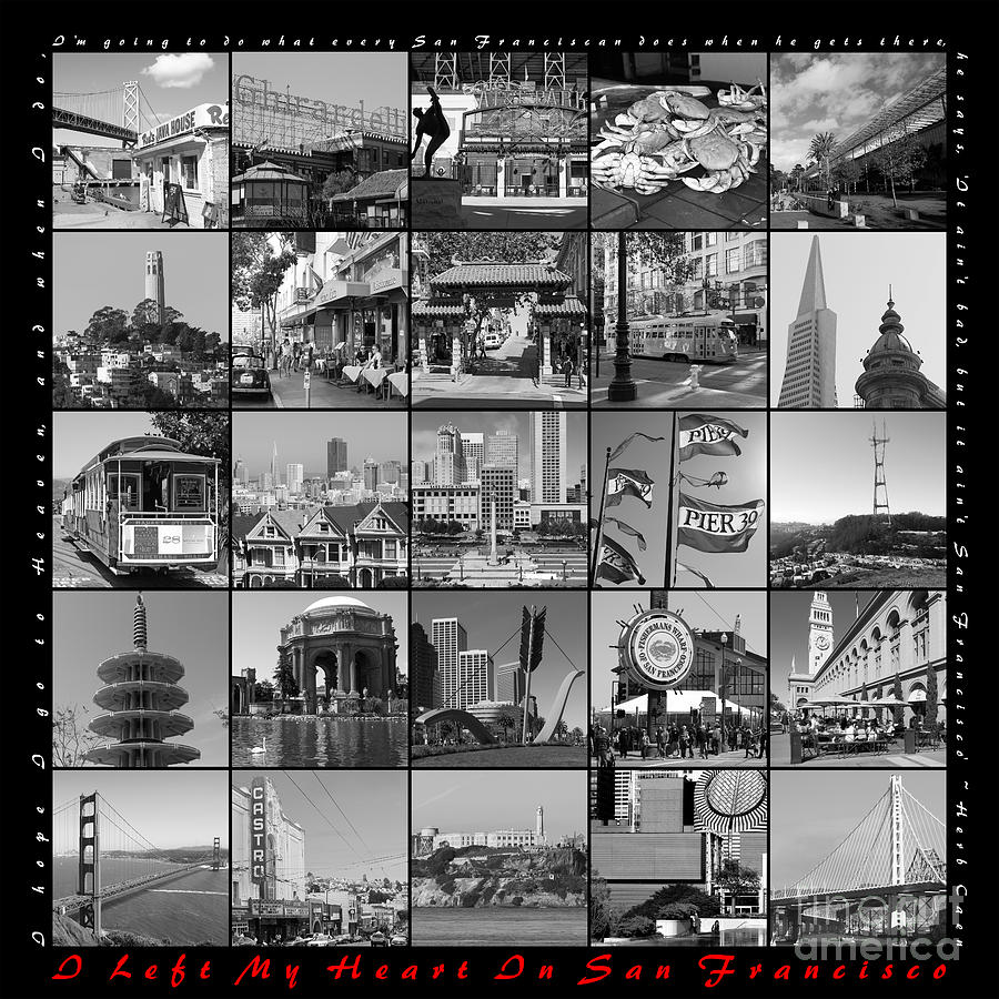 San Francisco Photograph - I Left My Heart In San Francisco 20150103 bw with text by Wingsdomain Art and Photography