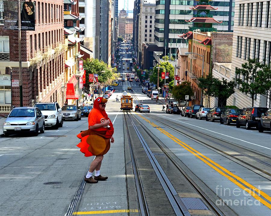 Magic Photograph - I Left My Turkey in San Francisco by Jim Fitzpatrick