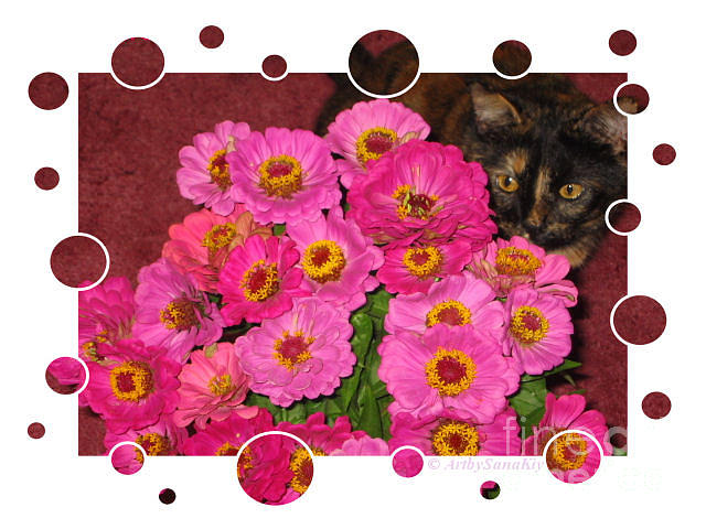 I like flowers Holiday Card Photograph by Oksana Semenchenko