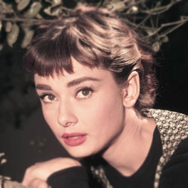 Beautiful Photograph - I Love Audrey Hepburn So Much. She Is by Liv Stephenson
