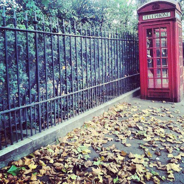 London Photograph - I Love Autumn! Walking Through Holland by Kelly Goss