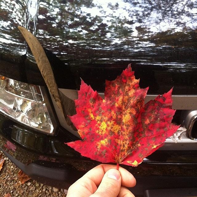 Fall Photograph - I Love Fall Colors.  #nofilter #fall by Ocean Clark