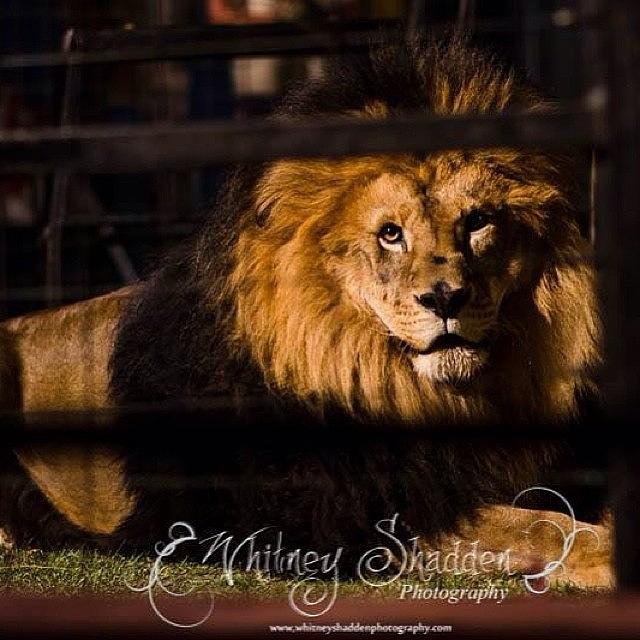 I Love Getting To See These Amazing Photograph by Whitney Shadden