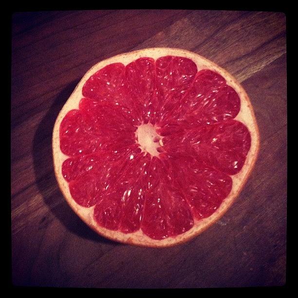 I Love Grapefruit Photograph by Gianna Vera