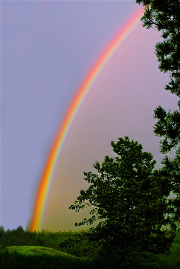 I Love Rainbow Magic Photograph by Ben Upham III