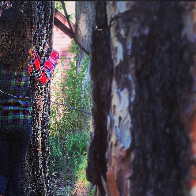 I Love 🌲s And Flannels🍂🌾☀️ Photograph by Willow Games