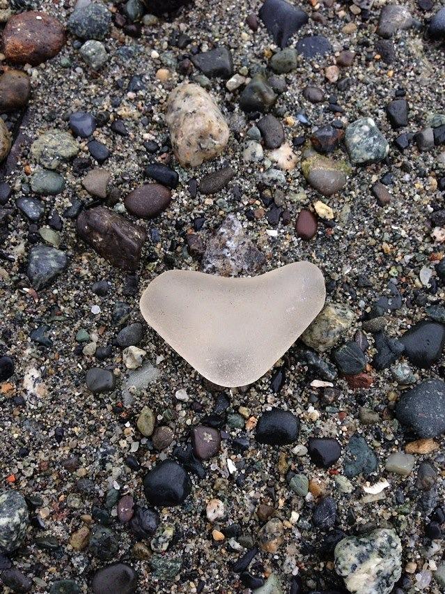 Beach Photograph - I LOVE SeaGlassing by Shelley Lewis