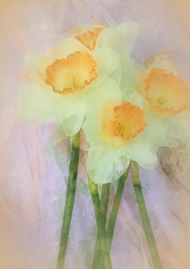 Most Beautiful Photograph - I Love the Daffodils... by The Art Of Marilyn Ridoutt-Greene