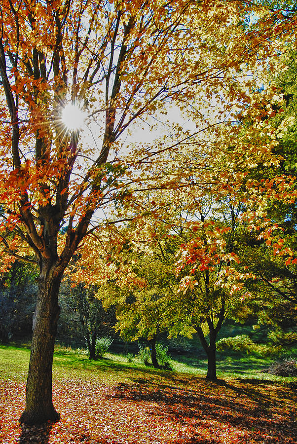 I Love the Fall Photograph by Johnathan Bass | Fine Art America